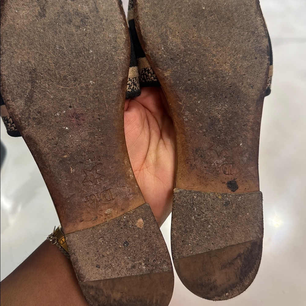 DIOR slide - Picture 10 of 14